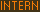 intern